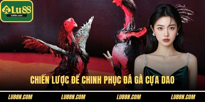 Chiến lược để chinh phục đá gà cựa dao
