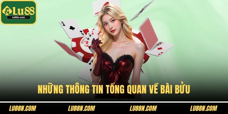 Những thông tin tổng quan về bài bửu