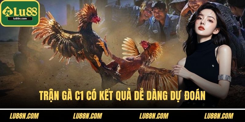 Trận gà C1 có kết quả dễ dàng dự đoán